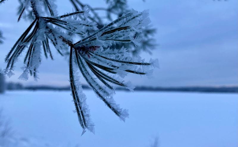 Säästöpankin brändikuva.