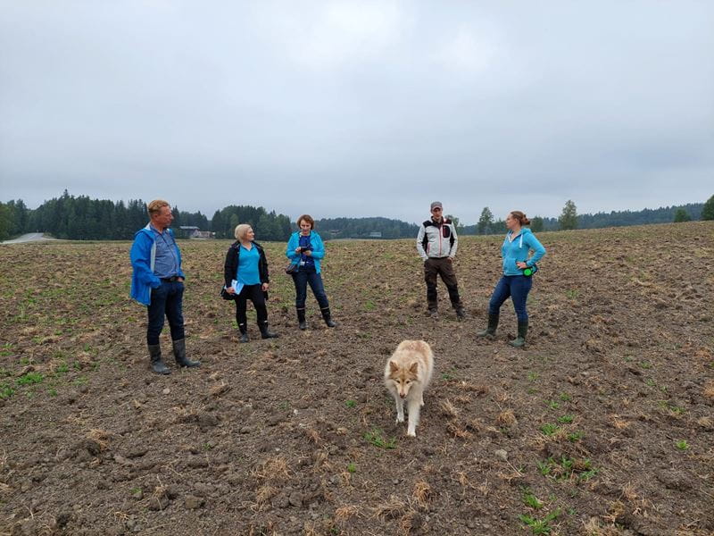 Säästöpankin maa- ja metsätalousasiantuntijat olivat tutustumassa Vierelän tilaan. Kuvassa henkilöt pellolla koiran kanssa.