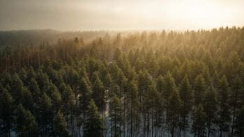 Sparbankens varumärke bild.