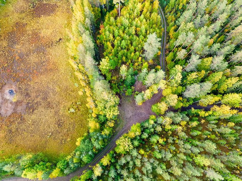 Säästöpankin brändikuva.