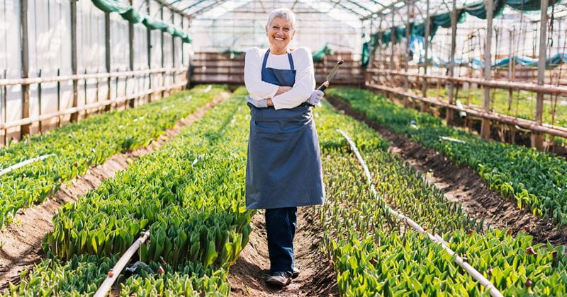 Säästöpankin brändikuva.