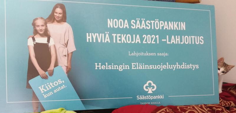 Nooa Säästöpankin Hyviä tekoja 2021 lahjoituksen saaja Helsingin Eläinsuojeluyhdistys.