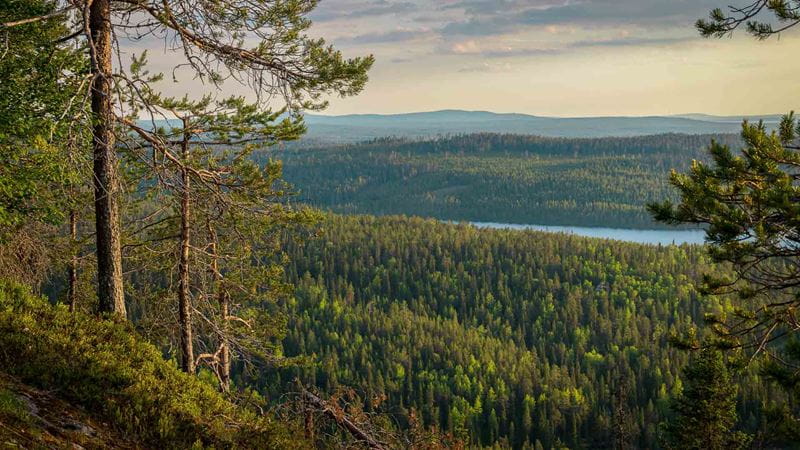 Säästöpankin brändikuva.