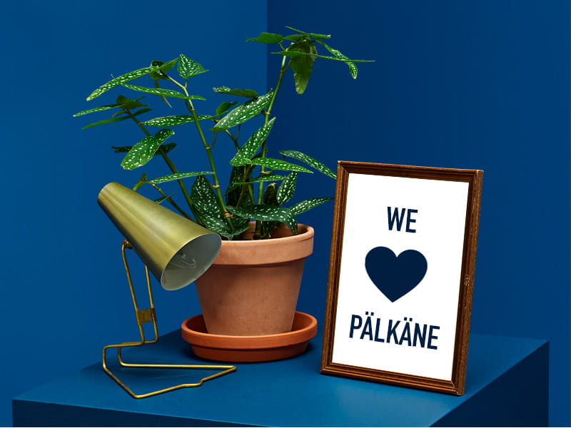 Säästöpankin brändikuva.