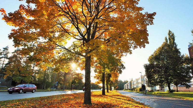 Säästöpankin brändikuva.